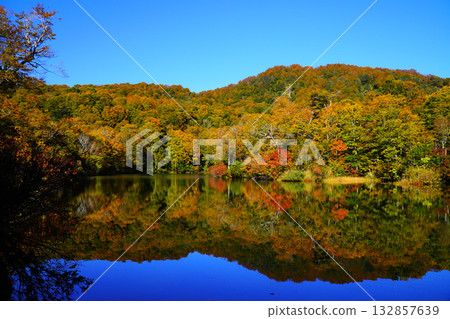 Autumn leaves of Kamike Autumn leaves of Kamike 132857639