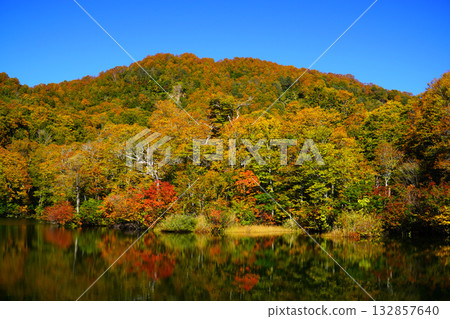 Autumn leaves of Kamike Autumn leaves of Kamike 132857640
