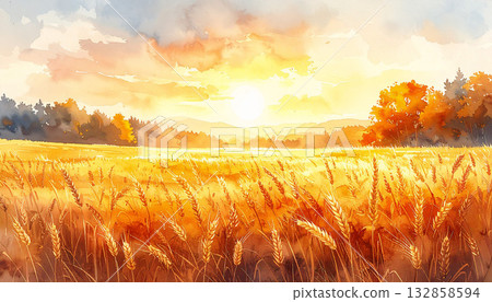 Shining wheat field Shining wheat field 132858594