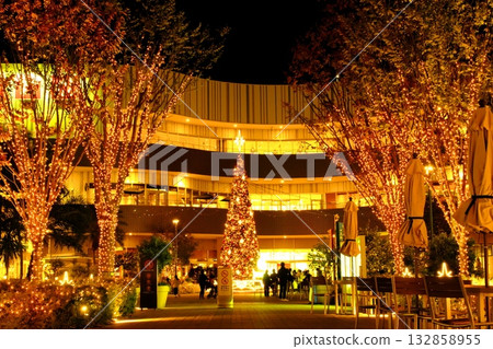 illuminated night tree illuminated night tree 132858955