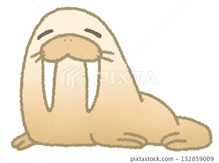 懶惰的海象 懶惰的海象 132859009