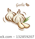 Cute and pop garlic illustration | Fresh vegetable vector material 132859207