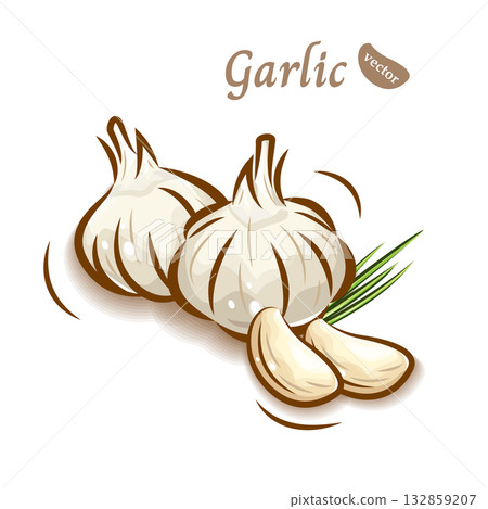可愛又流行的蒜頭插畫 | 新鮮蔬菜向量素材 132859207