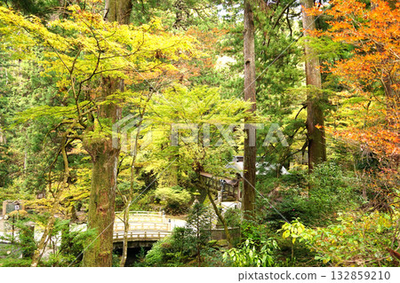 Daiozan Seiji Temple Daiozan Seiji Temple 132859210