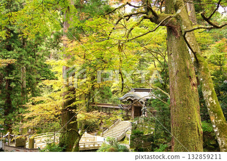 Daiozan Seiji Temple Daiozan Seiji Temple 132859211
