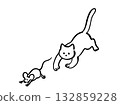 Cat chasing a mouse 132859228
