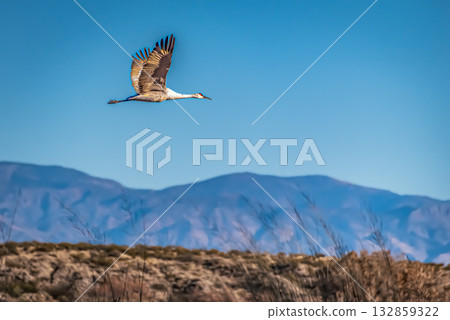 Crane in flight against mountain backdrop 132859322