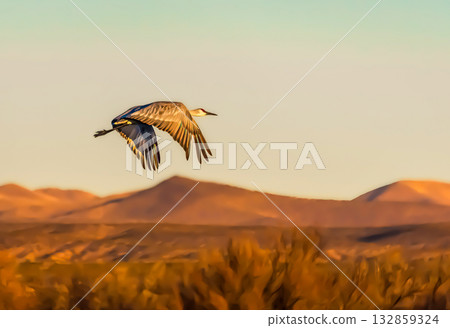 Crane flying over desert landscape Crane flying over desert landscape 132859324