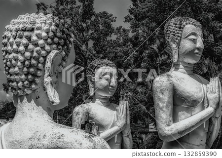 Stone Buddha Statues in Prayer Pose Stone Buddha Statues in Prayer Pose 132859390