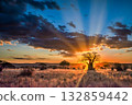 Sunset Over African Savannah with Baobab Tree 132859442