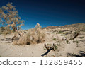 Desert Landscape with Dry Vegetation and Mountains 132859455