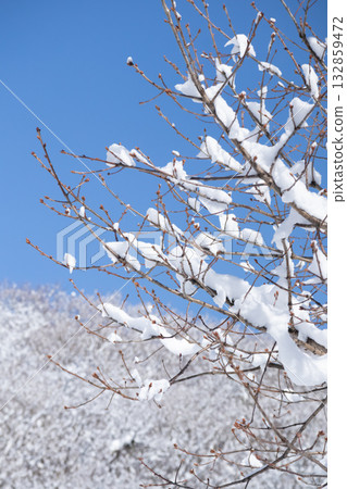 初雪映襯下的自然風光垂直構圖 132859472