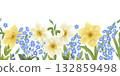 Seamless border with flowers of blue forgetmenots, yellow and white daffodils. Handdrawn in a flat style, painted with watercolors in pastel colors. An element for the design of postcards, packaging 132859498