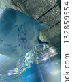 藍色冰川 132859554