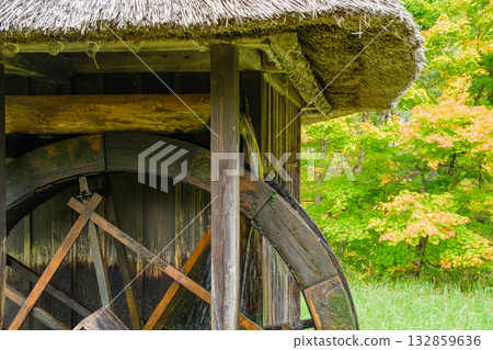 Watermill and autumn leaves 132859636