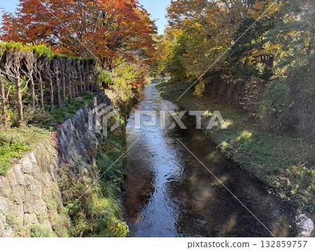 Autumn leaves along the Kuruuchi River in Tono Autumn leaves along the Kuruuchi River in Tono 132859757