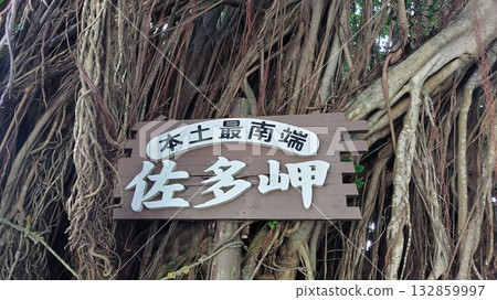 [Kagoshima Prefecture] Cape Sata, the southernmost point of the mainland 132859997