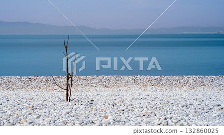 大阪南部沿海風光 大阪南部沿海風光 132860025