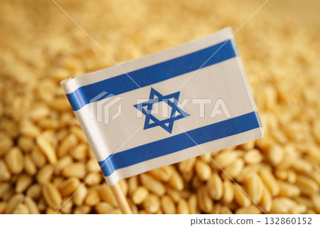 Israel flag on grain wheat, trade export and economy concept. 132860152