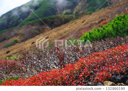 禦嶽山九合目附近的秋葉 禦嶽山九合目附近的秋葉 132860190