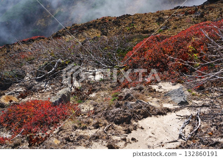 秋季的御嶽山:九合目附近的秋葉和火山灰。 秋季的御嶽山:九合目附近的秋葉和火山灰。 132860191