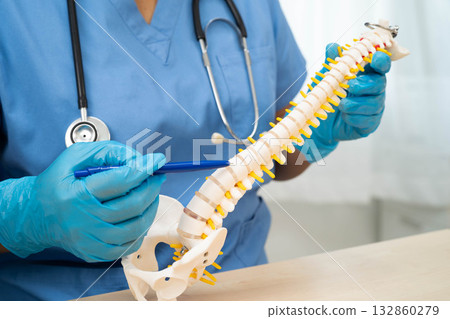 Asian doctor holding spinal nerve and bone model, Lumbar spine displaced herniated disc fragment for treatment medical in the orthopedic department. Asian doctor holding spinal nerve and bone model, Lumbar spine displaced herniated disc fragment for treatment medical in the orthopedic department. 132860279