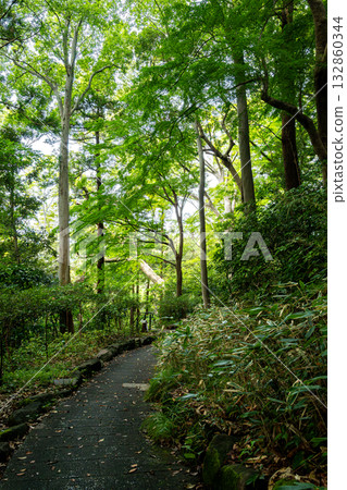 A road surrounded by green A road surrounded by green 132860344