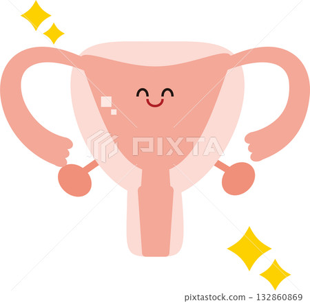 Illustration of a healthy uterus Illustration of a healthy uterus 132860869
