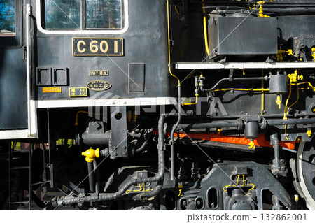 Close-up of C60-1 in Nishi Park, Sendai City 132862001