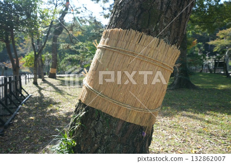 小茂卷 小茂卷 132862007