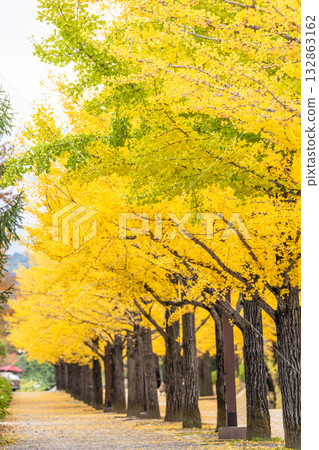 福島縣福島市吾妻運動公園的秋景 福島縣福島市吾妻運動公園的秋景 132863162