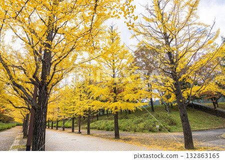 福島縣福島市吾妻運動公園的秋景 132863165