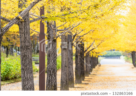 福島縣福島市吾妻運動公園的秋景 132863166