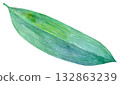 Watercolor illustration, hand-drawn illustration, bamboo leaves 132863239