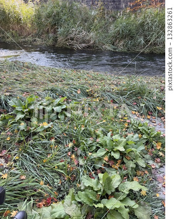 A stream in Tono city A stream in Tono city 132863261