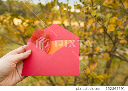 A mail with autumn news A mail with autumn news 132863391