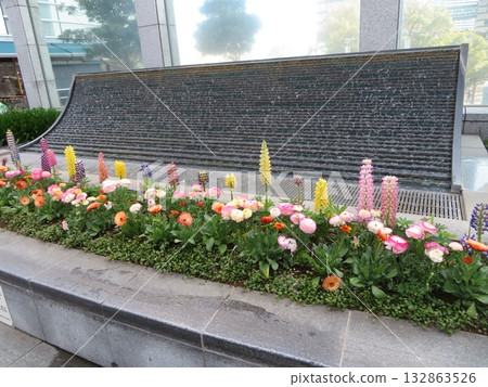 flower bed 132863526