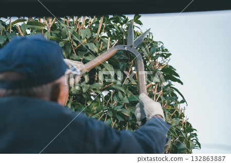 gents, male, males 132863887