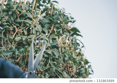 gents, male, males 132863889