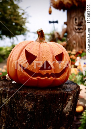 Halloween pumpkin Halloween pumpkin 132863901