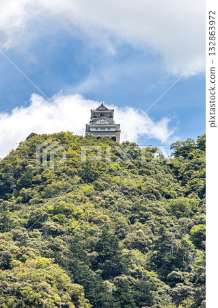 Gifu Castle tower on top of Mount Kinka 132863972