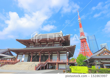 Scenery of Tokyo Tower and Zojoji Temple, Minato Ward, Tokyo 132863997