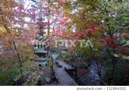 Autumn leaves at Nakano Tei Museum Autumn leaves at Nakano Tei Museum 132864202