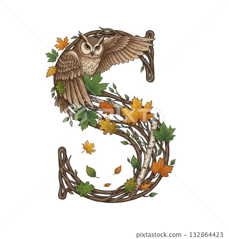 Elegant owl art isolated on transparent background 132864423