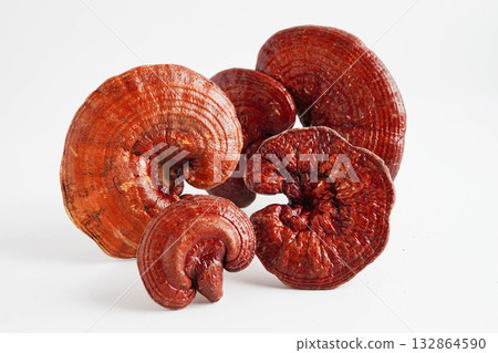 Lingzhi or Reishi mushroom with capsules, organic natural healthy food. 132864590