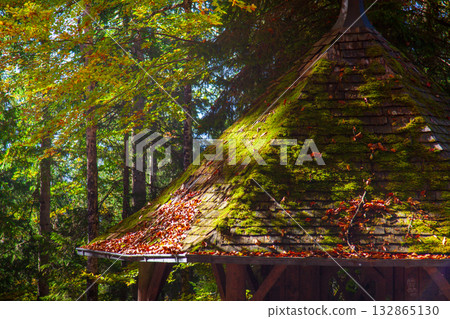 Forest cabin roof illuminated by light and shadow Forest cabin roof illuminated by light and shadow 132865130