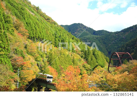 秋天的落葉和廣角褶皺 132865141