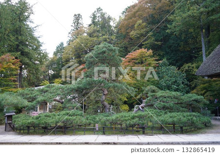 Scenery of Kamakura, Kitamuki Kannon, Jorakuji Temple, a special head temple of the Tendai sect, and the area around Bessho Onsen in Shinshu 132865419