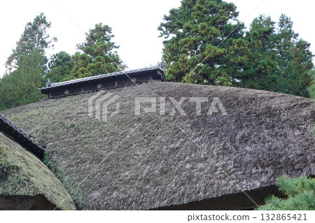 鎌倉、北向觀音、天台宗總本山淨樂寺以及信州別所溫泉週邊地區的景色 132865421