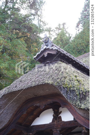 鎌倉、北向觀音、天台宗總本山淨樂寺以及信州別所溫泉週邊地區的景色 鎌倉、北向觀音、天台宗總本山淨樂寺以及信州別所溫泉週邊地區的景色 132865424